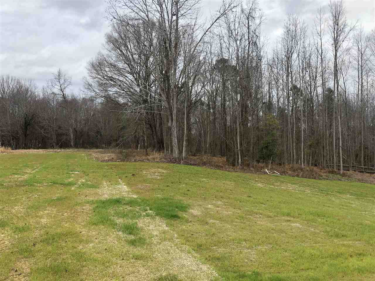 147 Coats Ridge Drive Benson, NC 27504 - Photo 20 of 22 Photo 20