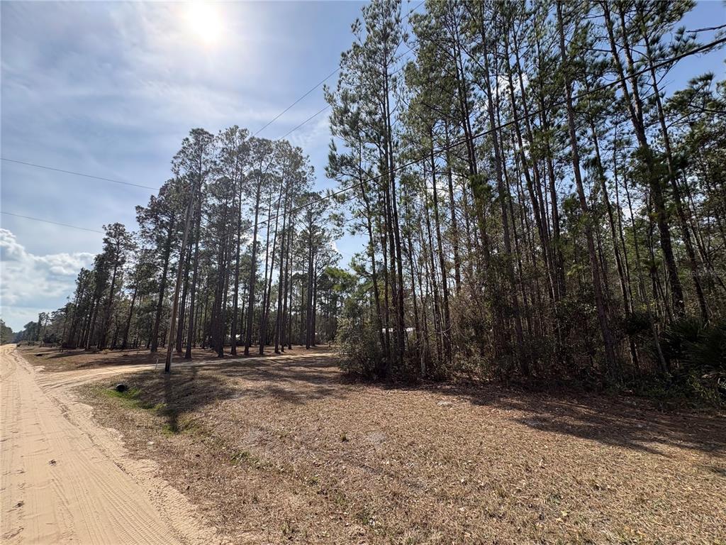 4385 Bondarenko Road Keystone Heights, FL 32656 - Photo 2 of 8