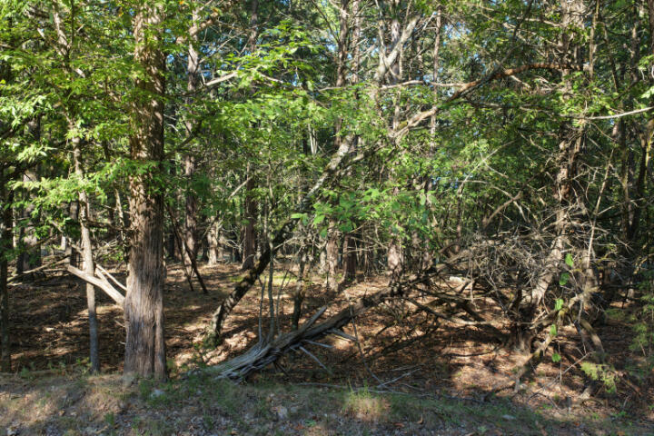 0 Lazy Acres Road Protem, MO 65733 - Photo 17 of 28 dji_fly_20260904_164908_0190_17888737150