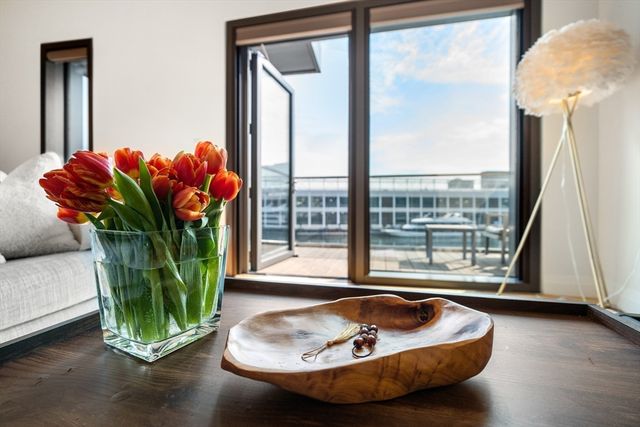 a view of a living room with a potted plant