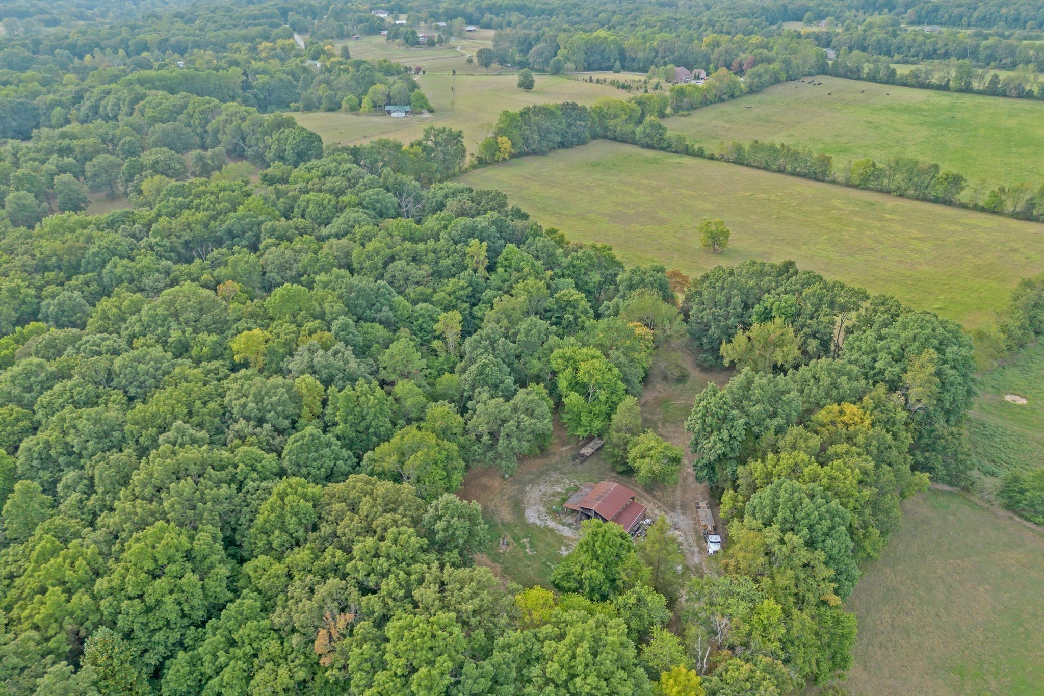 7374 Old Franklin Road Fairview, TN 37062 - Photo 55 of 64 Gallery Image 55