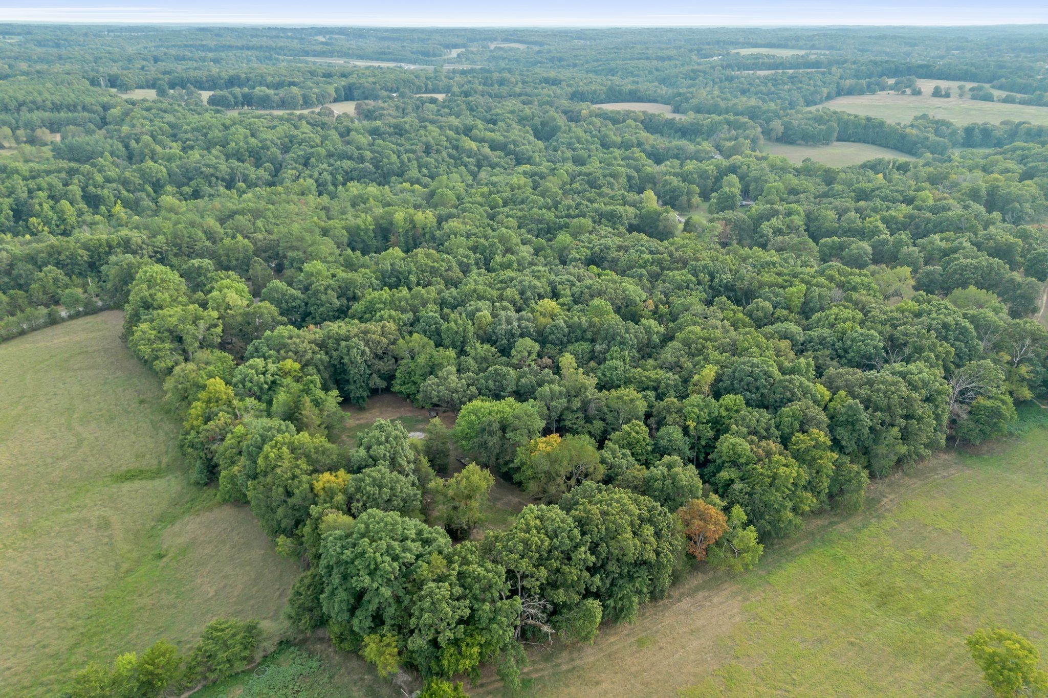 7374 Old Franklin Road Fairview, TN 37062 - Photo 60 of 64 Gallery Image 60