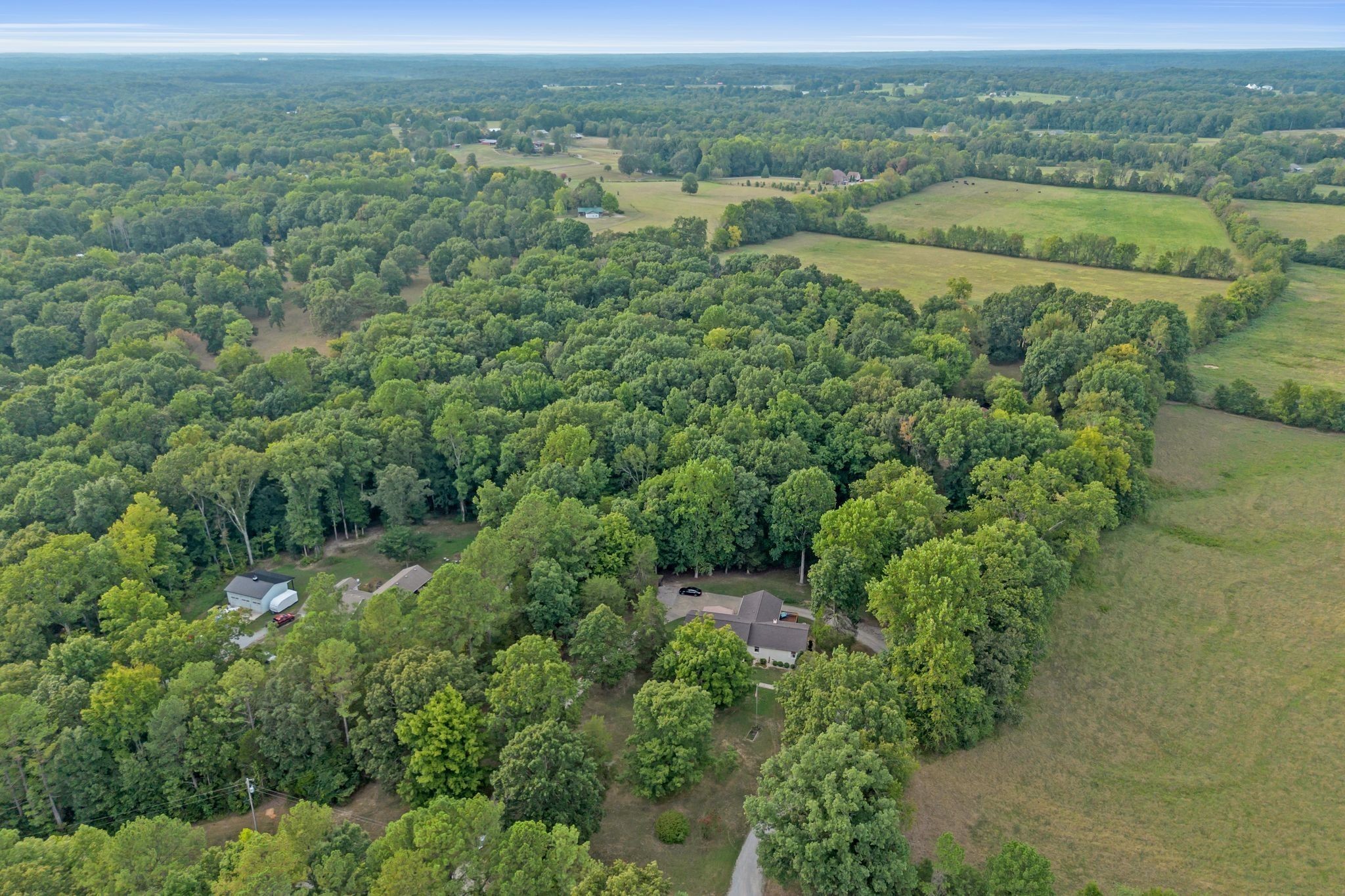 7374 Old Franklin Road Fairview, TN 37062 - Photo 6 of 64 Gallery Image 6