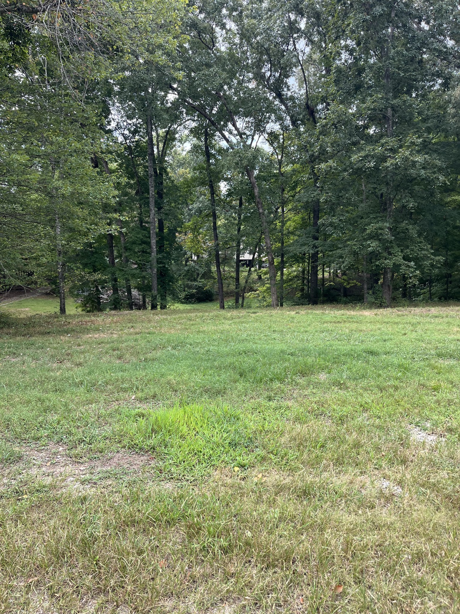 7374 Old Franklin Road Fairview, TN 37062 - Photo 61 of 64 Gallery Image 61