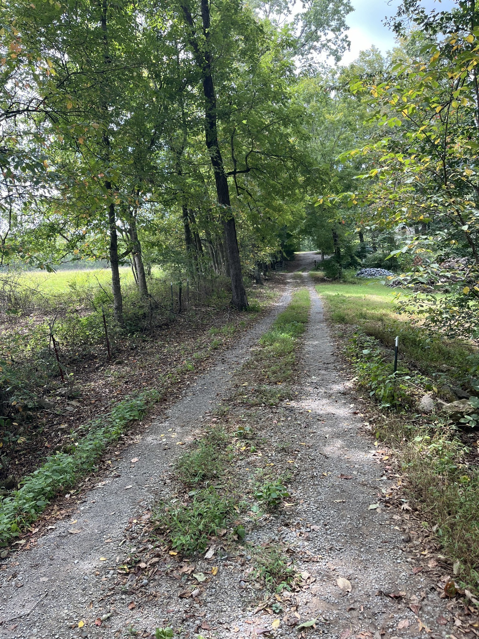 7374 Old Franklin Road Fairview, TN 37062 - Photo 62 of 64 Gallery Image 62