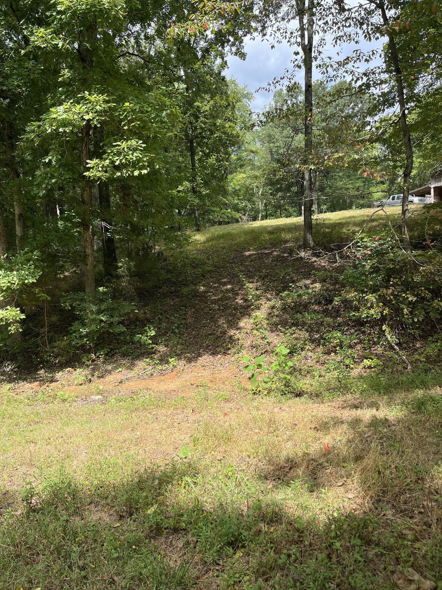 7374 Old Franklin Road Fairview, TN 37062 - Photo 63 of 64 Gallery Image 63