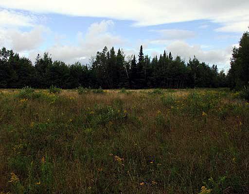 Lot 51 Front Ridge Road Houlton, ME 04730 - Photo 12 of 14 Land.