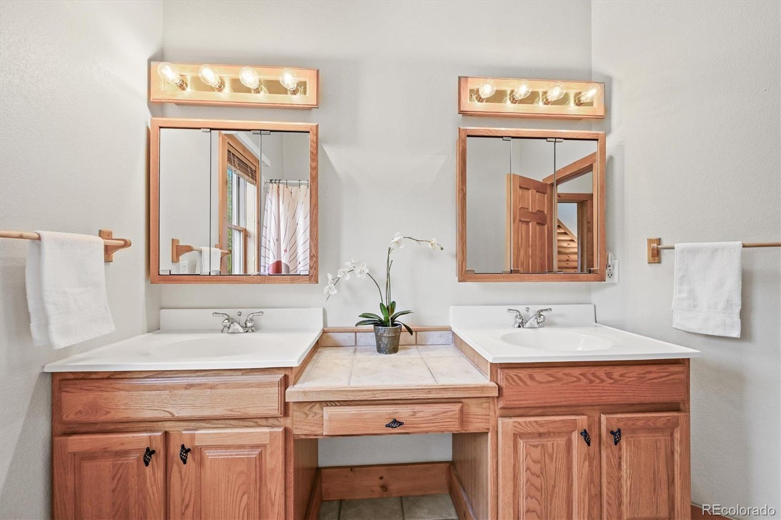 9868 South Overlook Road Sedalia, CO 80135 - Photo 12 of 50 a bathroom with a sink and a mirror