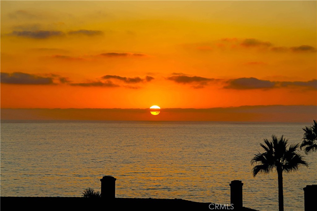 51 Ritz Cove Drive Dana Point, CA 92629 - Photo 6 of 51 a view of an ocean