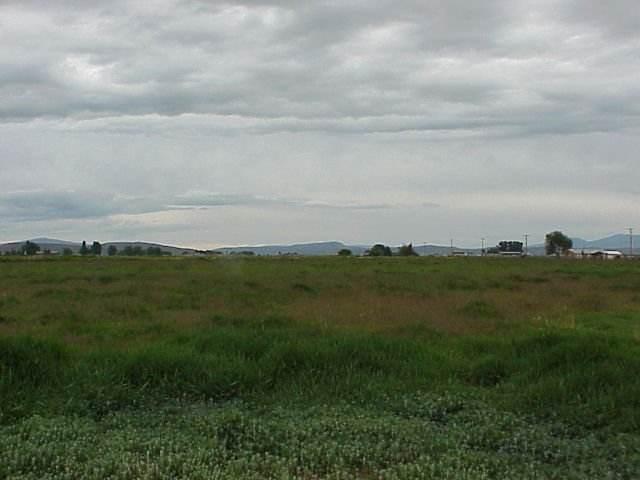 Primary Photo