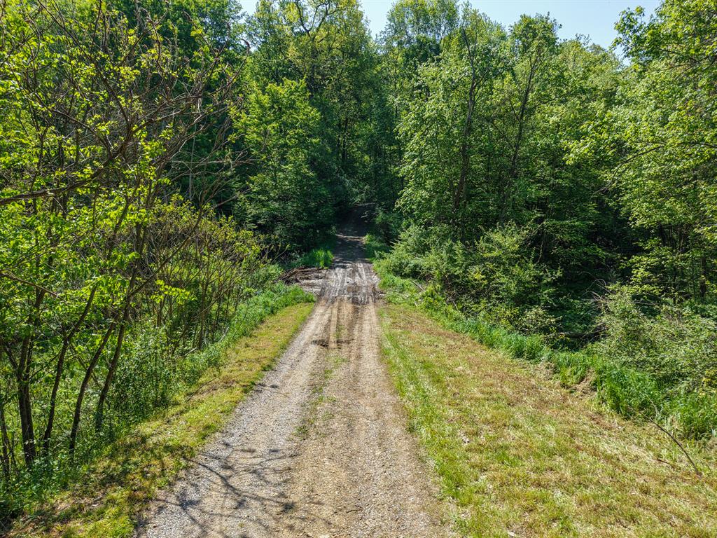 637 American School Road Harmony, PA 16037 - Photo 7 of 21
