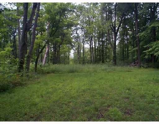 1067 Vosler Road Volant, PA 16156 - Photo 2 of 4 Land/Lot.