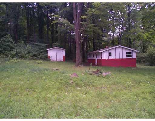 1067 Vosler Road Volant, PA 16156 - Photo 3 of 4 Land/Lot.