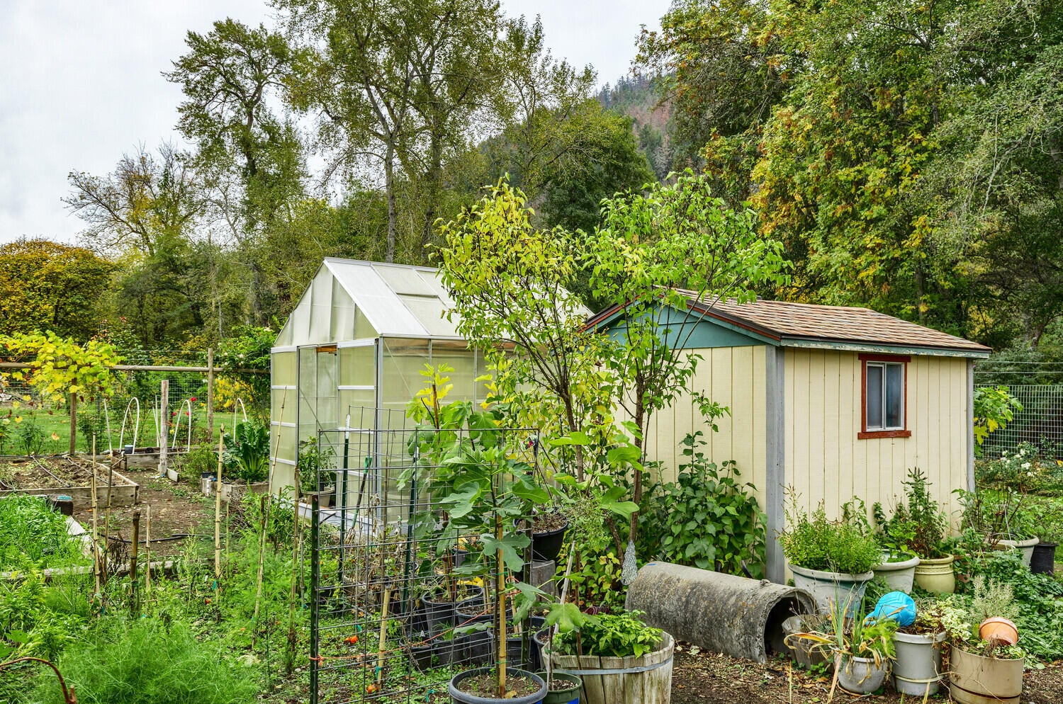 4020 Little Applegate Road Jacksonville, OR 97530 - Photo 79 of 83 79-Garden