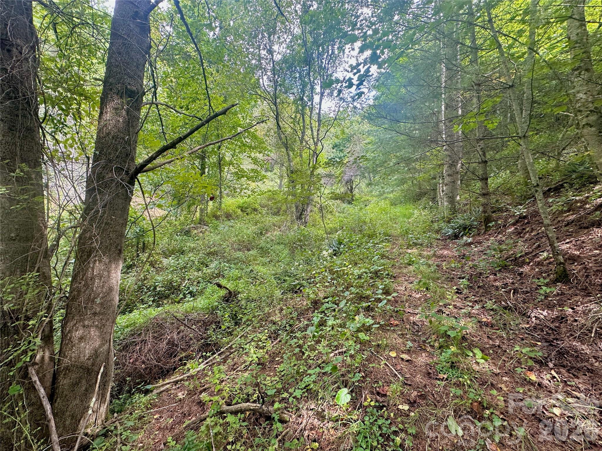 Tbd Old Anderson Quarry Road Vilas, NC 28692 - Photo 19 of 21