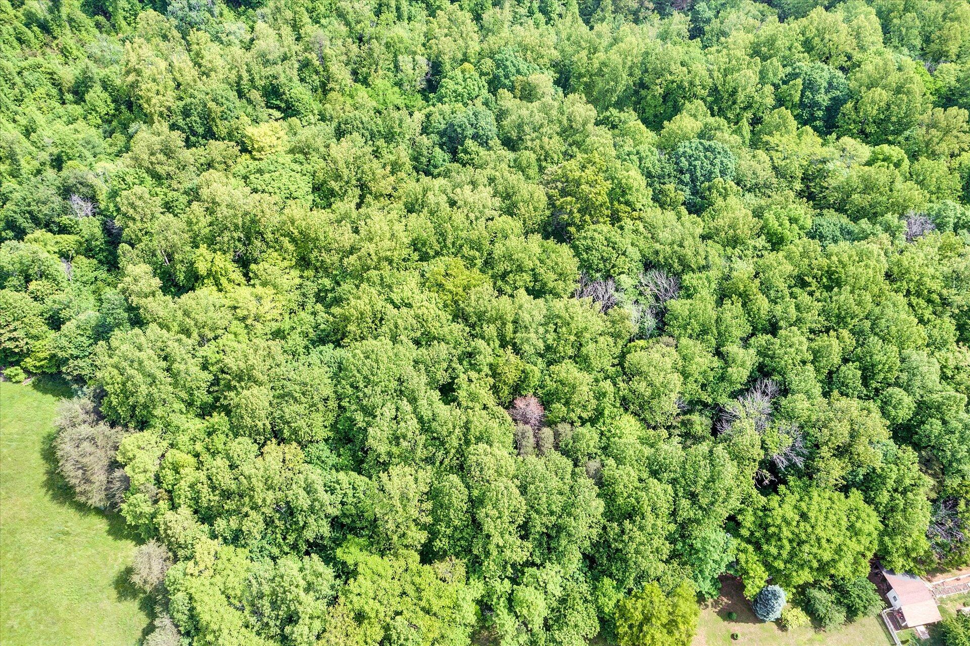 5315 Scruggs Road Moneta, VA 24121 - Photo 24 of 32 24-DJI_0772