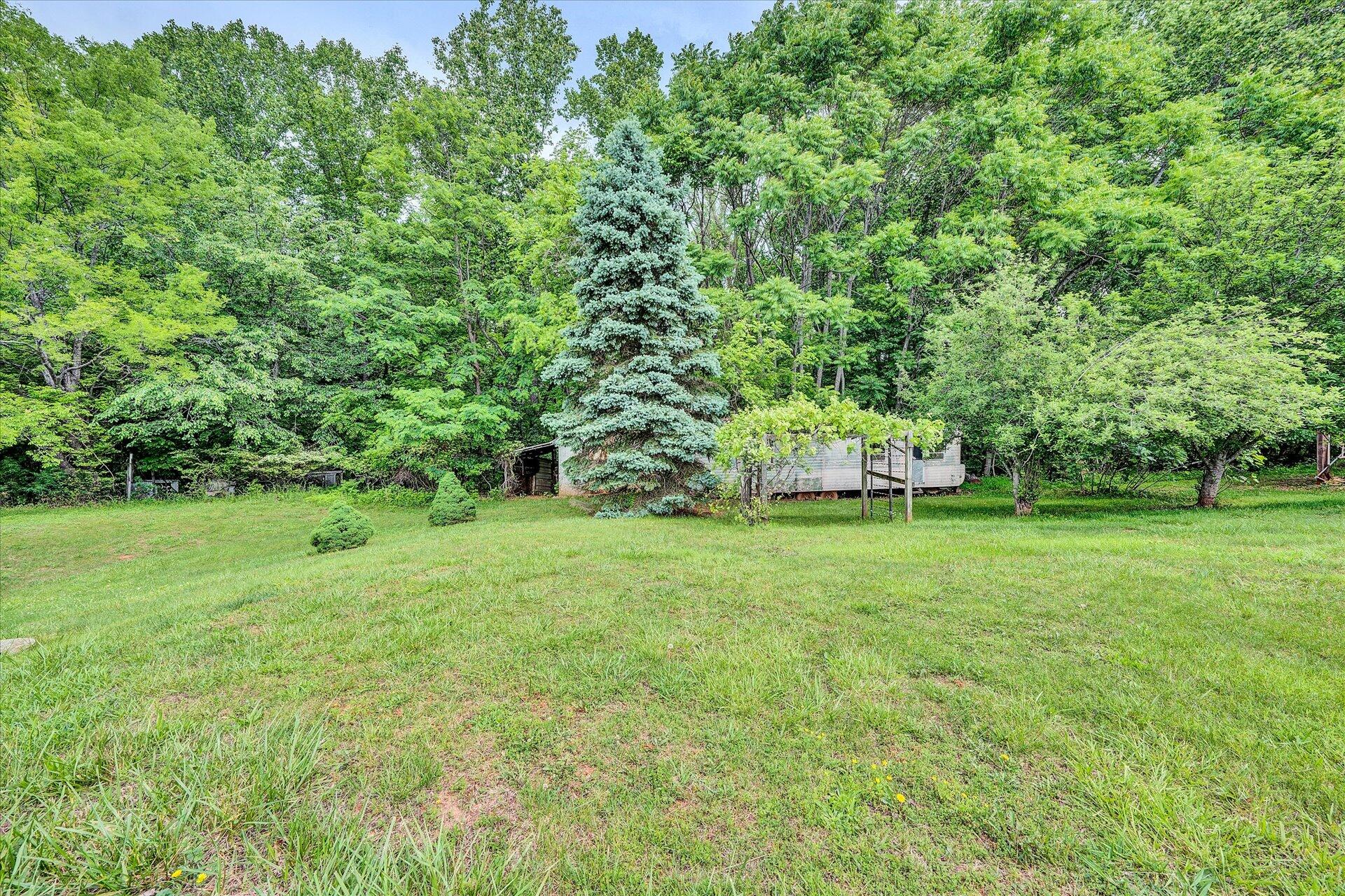 5315 Scruggs Road Moneta, VA 24121 - Photo 28 of 32 28-DSC00073