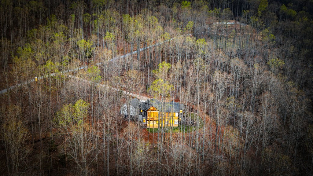 172 Grand Oaks Trail Morganton, GA 30560 - Photo 54 of 56