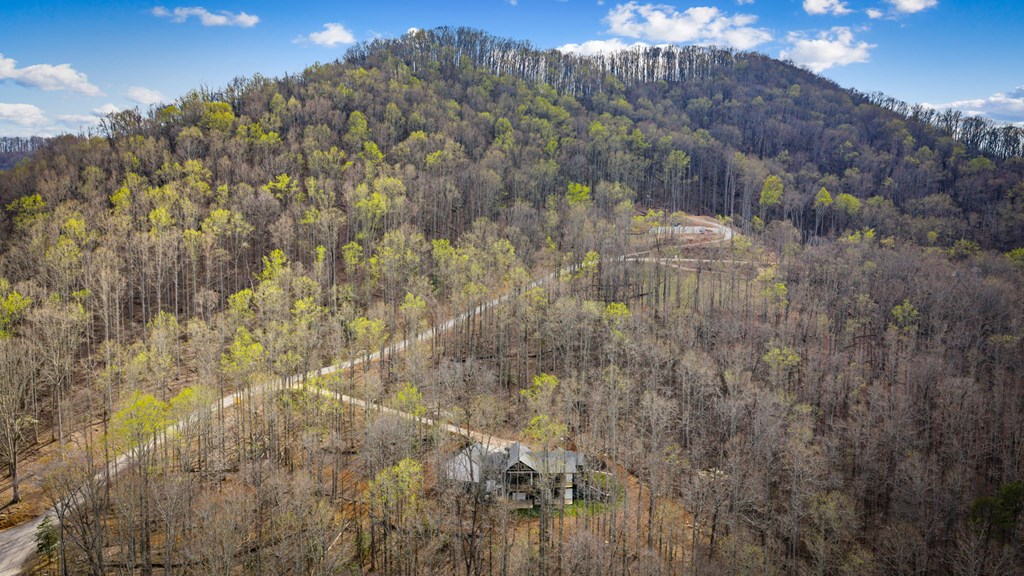 172 Grand Oaks Trail Morganton, GA 30560 - Photo 8 of 56