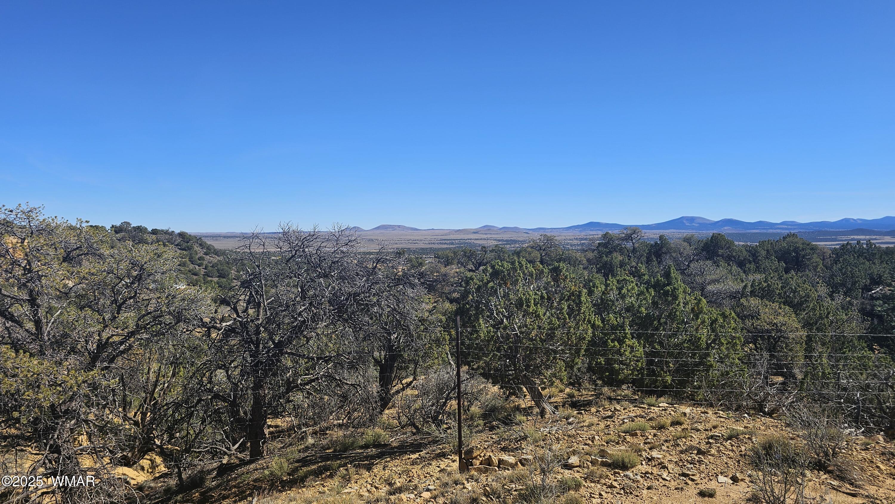 4 County Road Concho, AZ 85924 - Photo 2 of 28