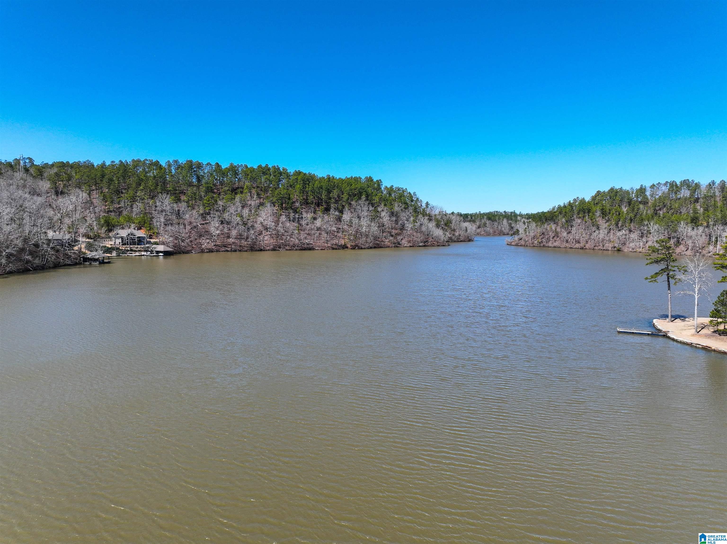0 Preserve Road, Unit LOT 8 Rockford, AL 35136 - Photo 7 of 8