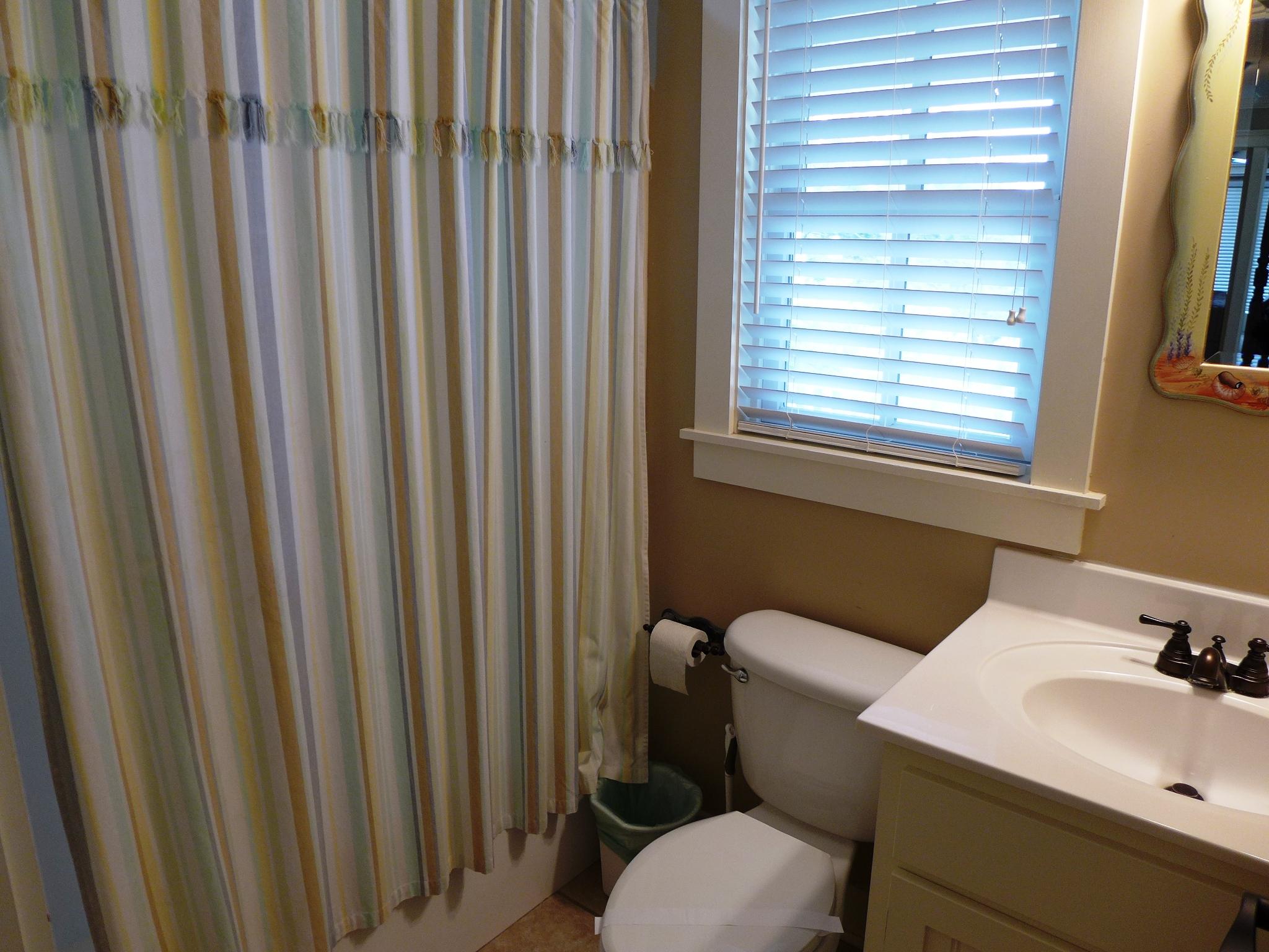801 Jungle Road, Unit A Edisto Beach, SC 29438 - Photo 20 of 37 P1020381