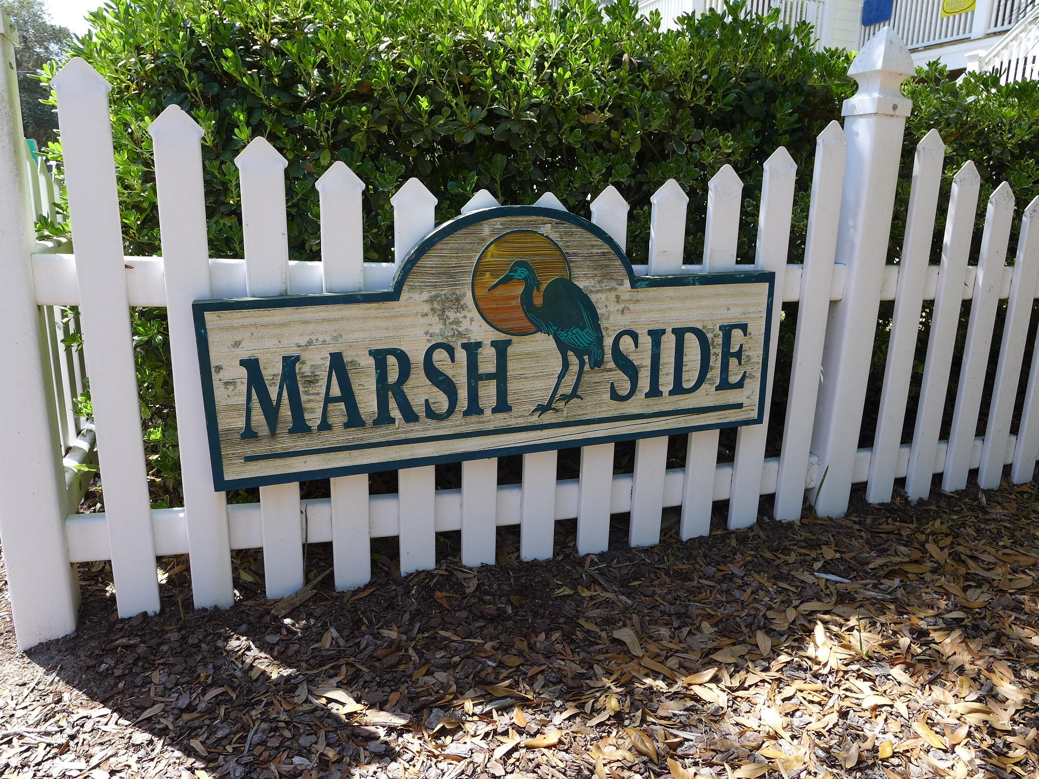 801 Jungle Road, Unit A Edisto Beach, SC 29438 - Photo 3 of 37 P1020358