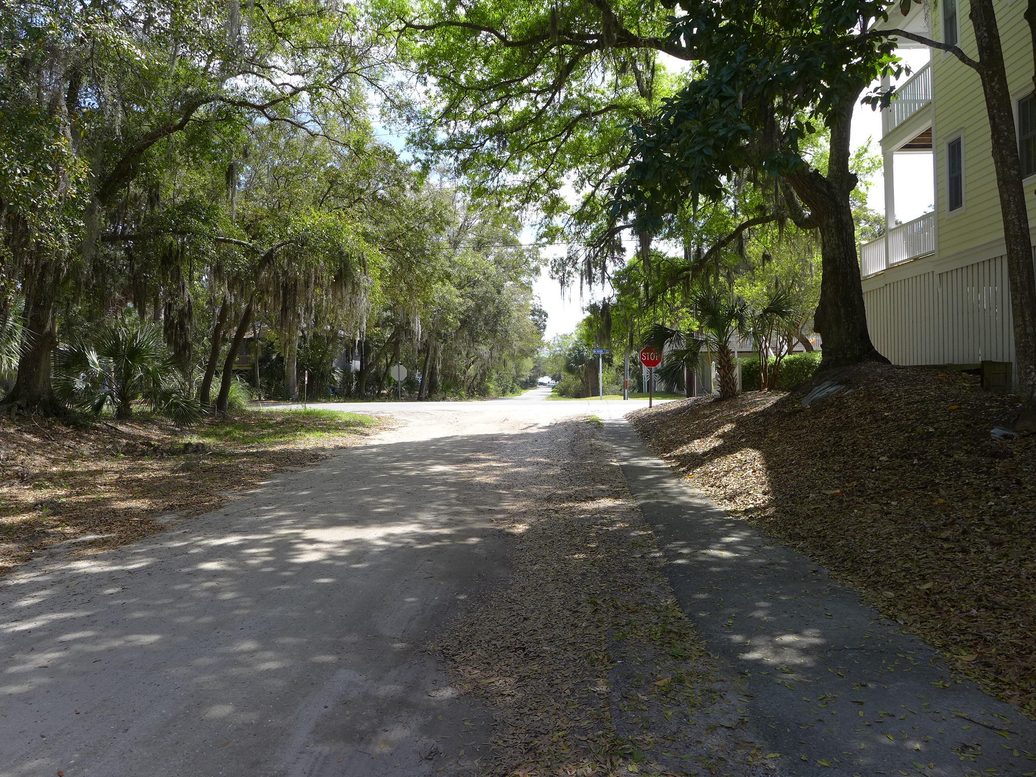 801 Jungle Road, Unit A Edisto Beach, SC 29438 - Photo 35 of 37 P1020361