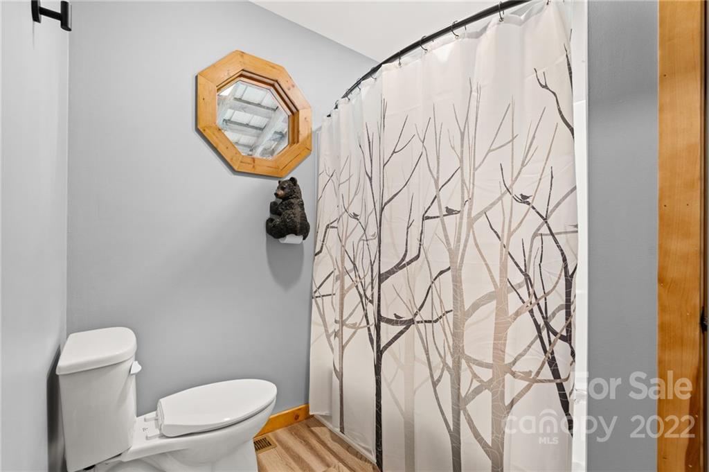 7 Twin Mountain View Road Canton, NC 28716 - Photo 23 of 36 a bathroom with a toilet and a sink