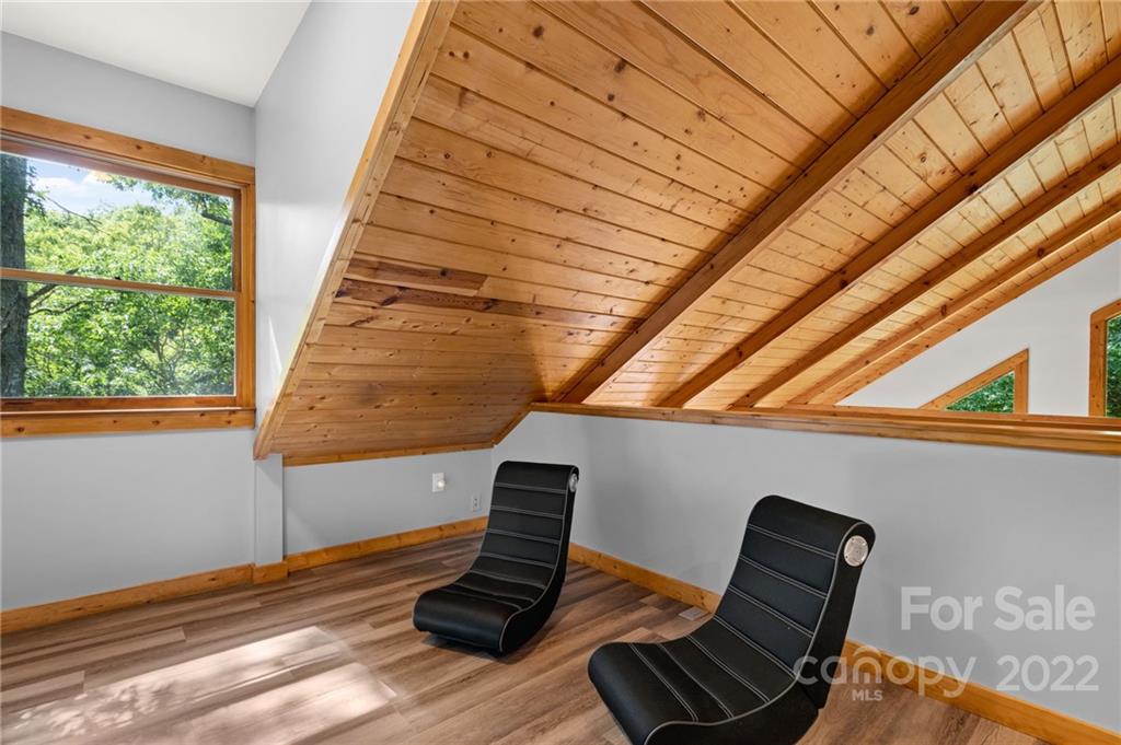 7 Twin Mountain View Road Canton, NC 28716 - Photo 33 of 36