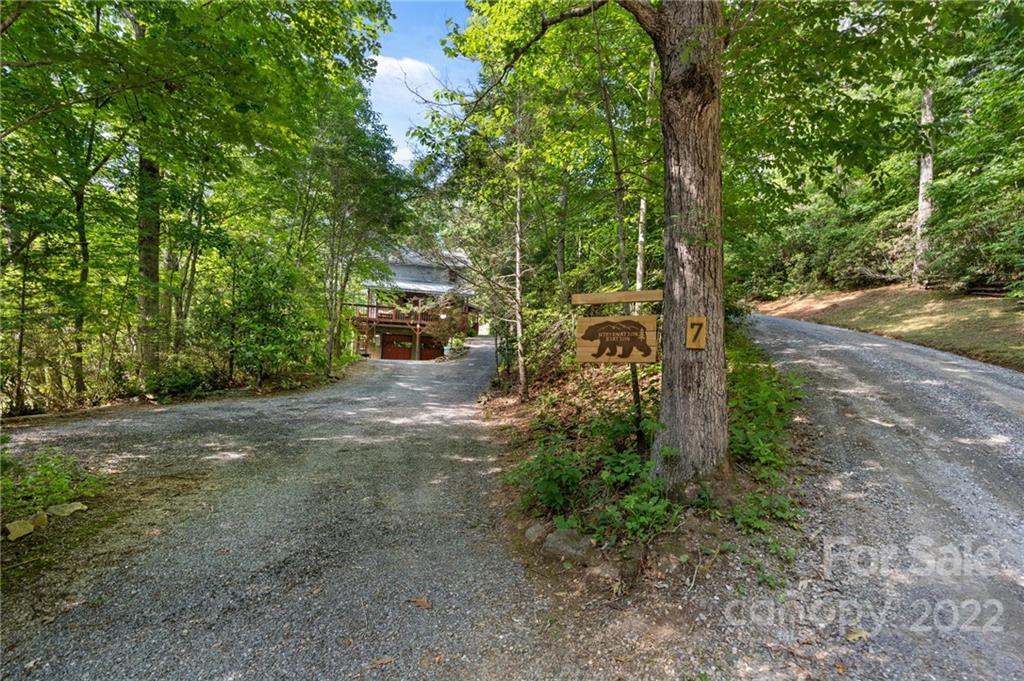 7 Twin Mountain View Road Canton, NC 28716 - Photo 35 of 36 a view of a yard with plants and a large tree