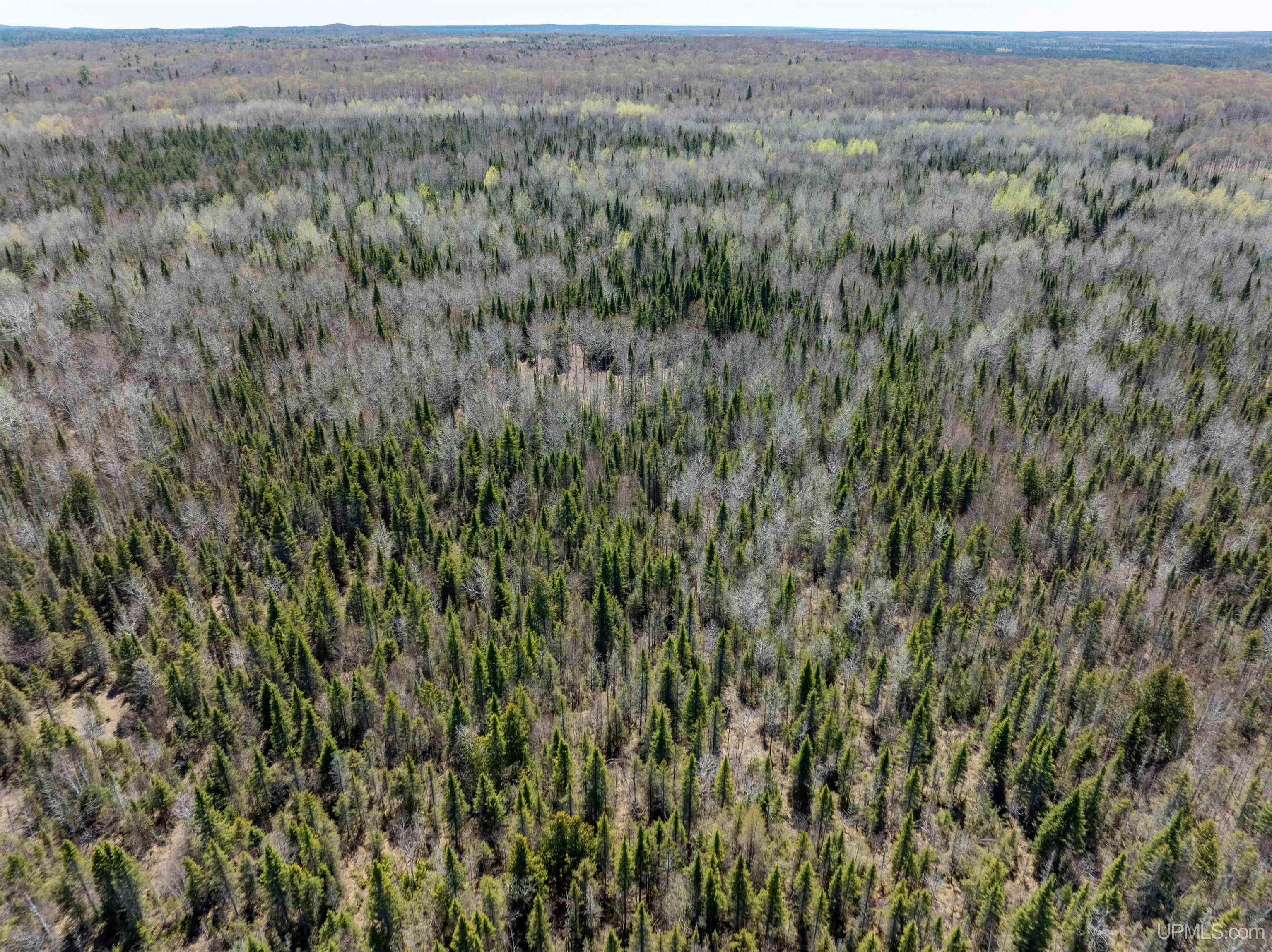 E4291 Walleye Road Chatham, MI 49816 - Photo 29 of 52
