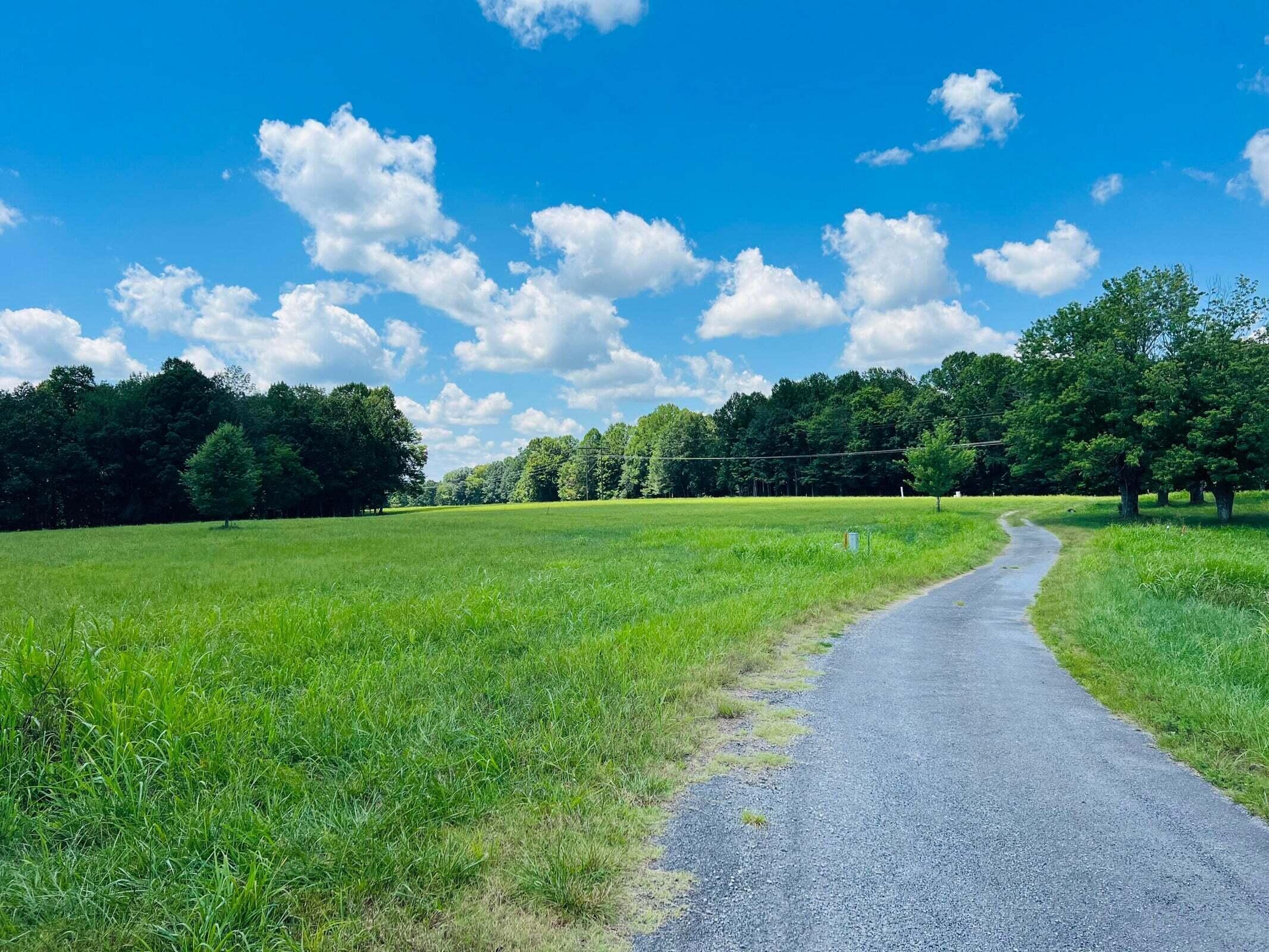 162 Dockery Road Russell Springs, KY 42642 - Photo 8 of 17 20230802180504029065000000-o