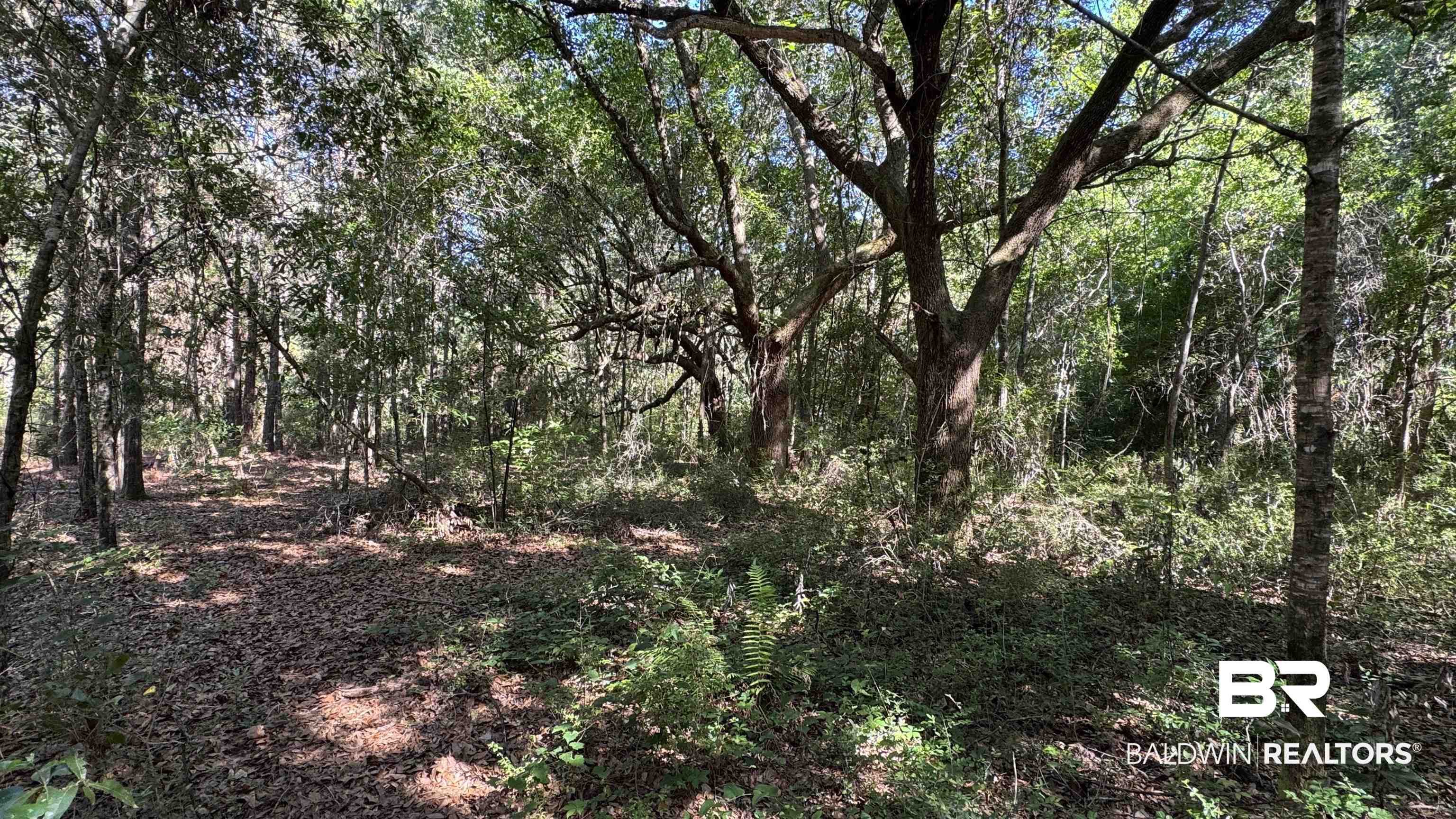 33370 Highway 98 Lillian, AL 36549 - Photo 54 of 58 Wooded lot featuring mature trees and natural ground cover