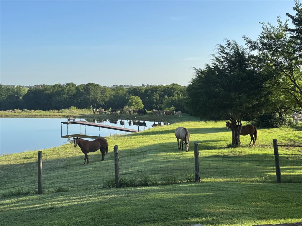 626 Lone Tree Road Nevada, TX 75173 - Photo 32 of 40 a view of a park with large trees