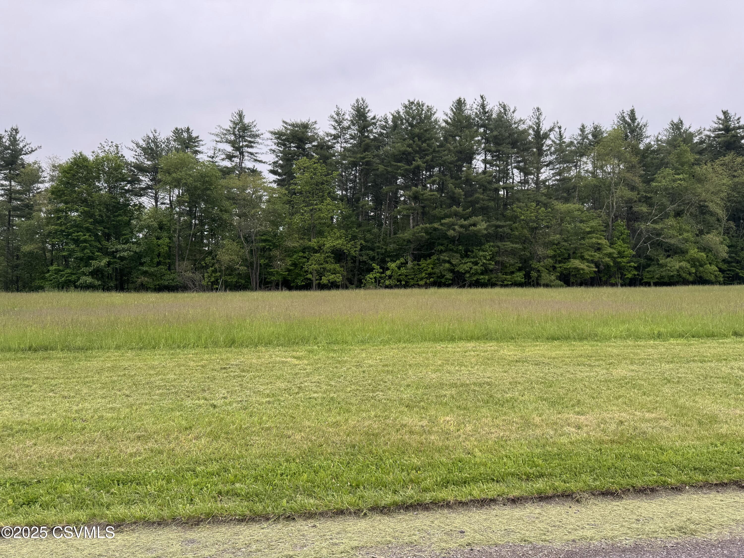Lot 3 Mountain Road Shickshinny, PA 18655 - Photo 2 of 2 740 Ridge Rd Shickshinny & vacant land l