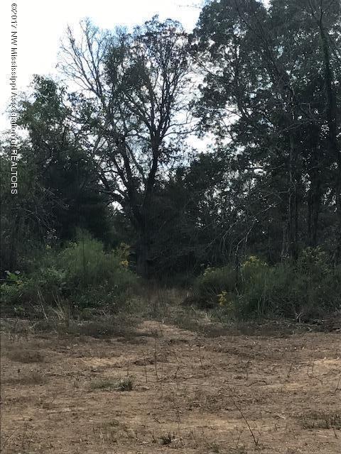 901 Humphrey Road Holly Springs, MS 38635 - Photo 13 of 14 IMG_0329