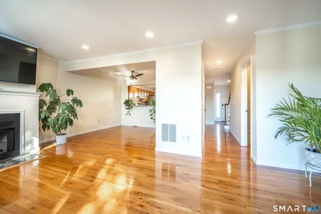 a view of a hallway with wooden floor and a potted plant