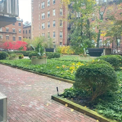 a view of a garden with pathway