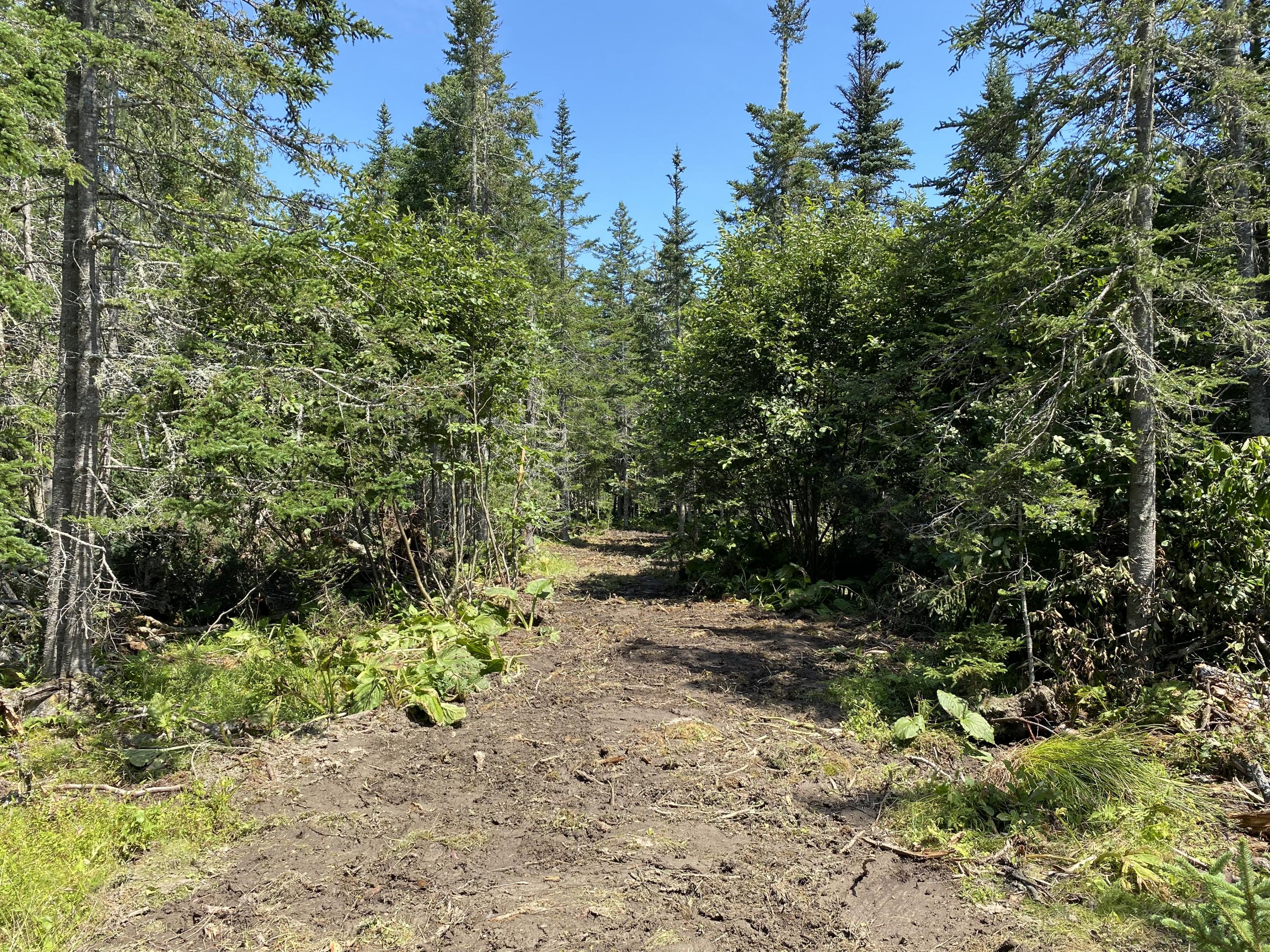 25-21 Ryder Road Islesboro, ME 04848 - Photo 4 of 27 Path