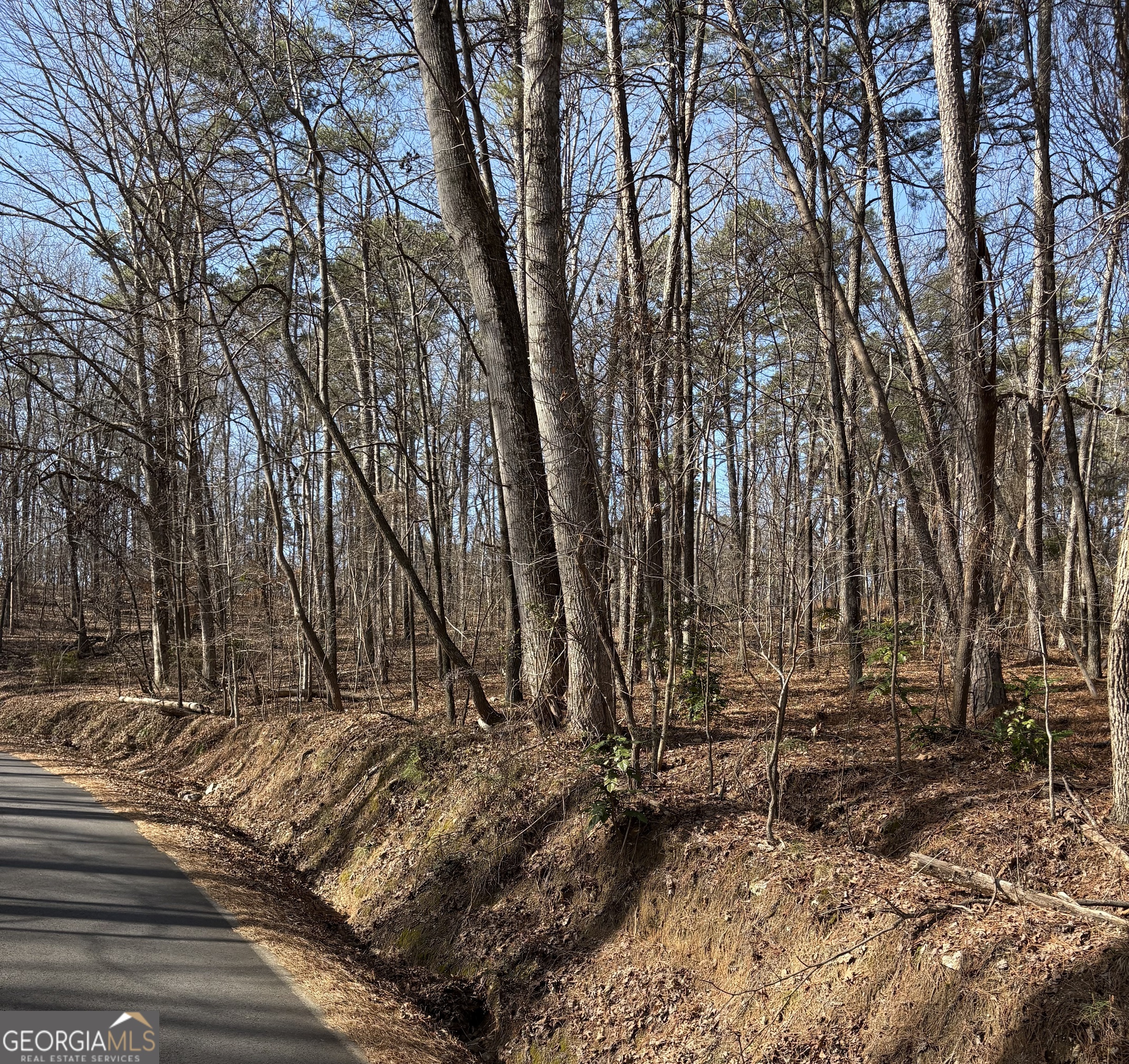 0 Radio Springs Road Rome, GA 30165 - Photo 3 of 10