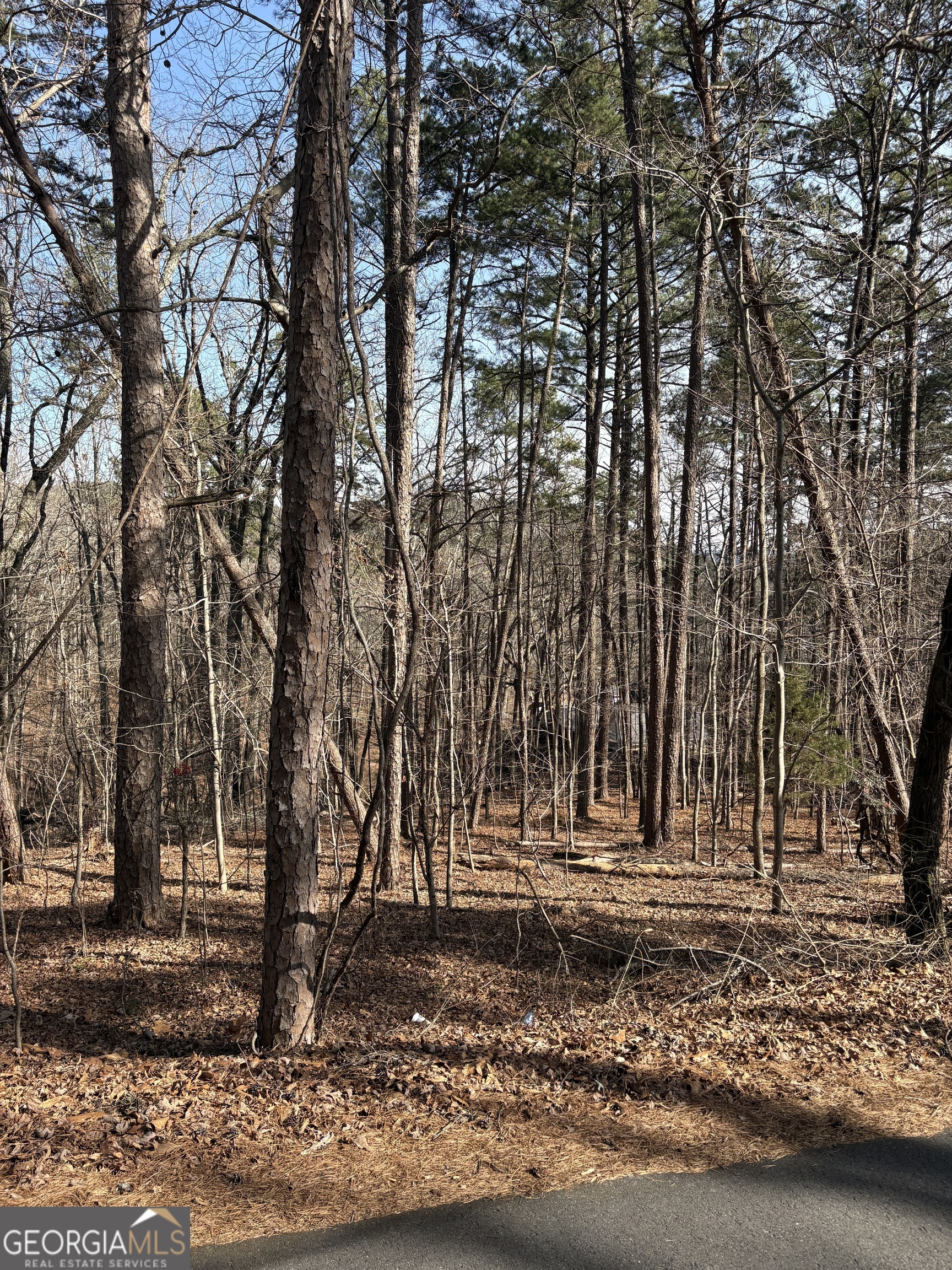 0 Radio Springs Road Rome, GA 30165 - Photo 4 of 10