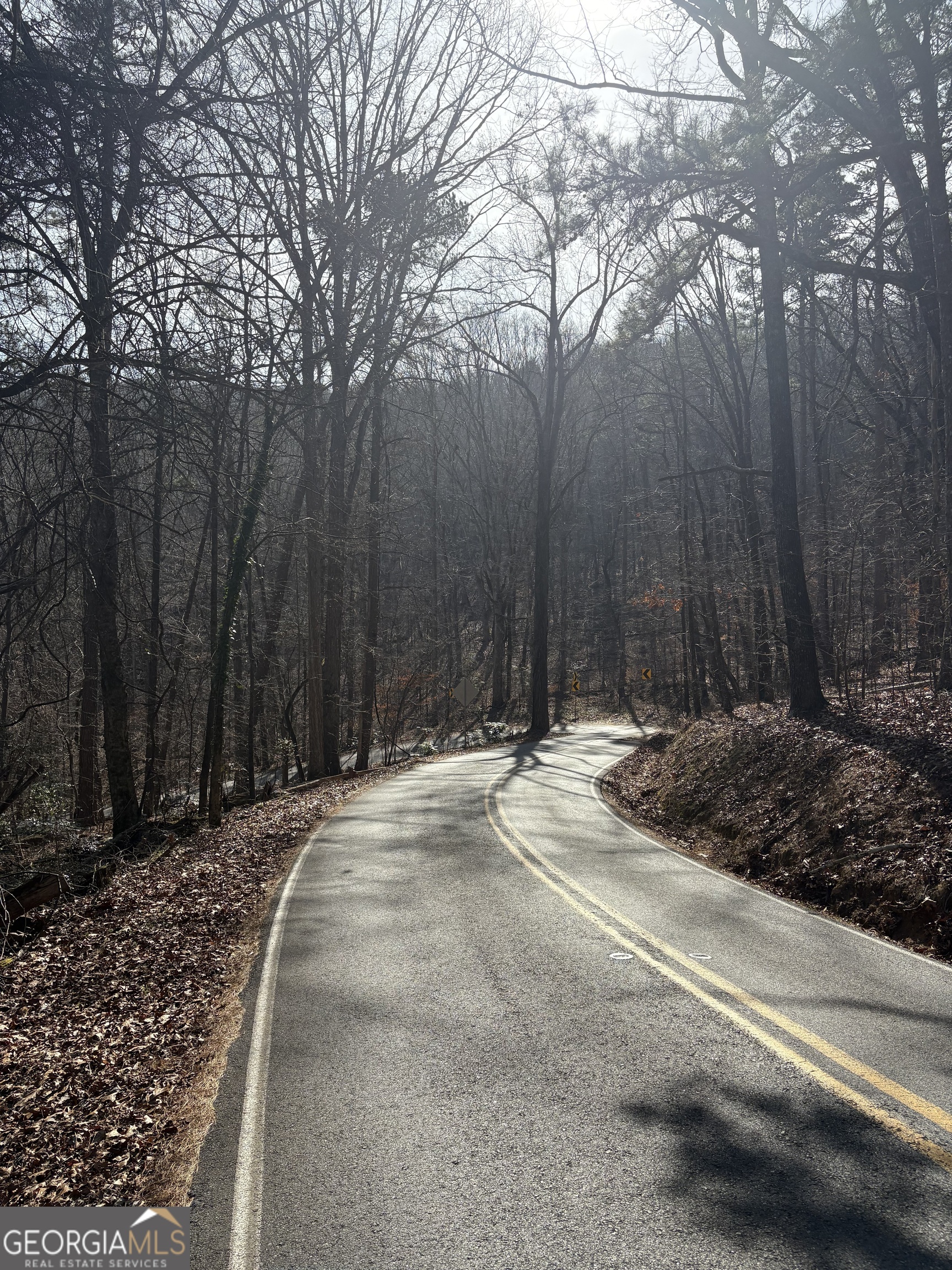 0 Radio Springs Road Rome, GA 30165 - Photo 7 of 10