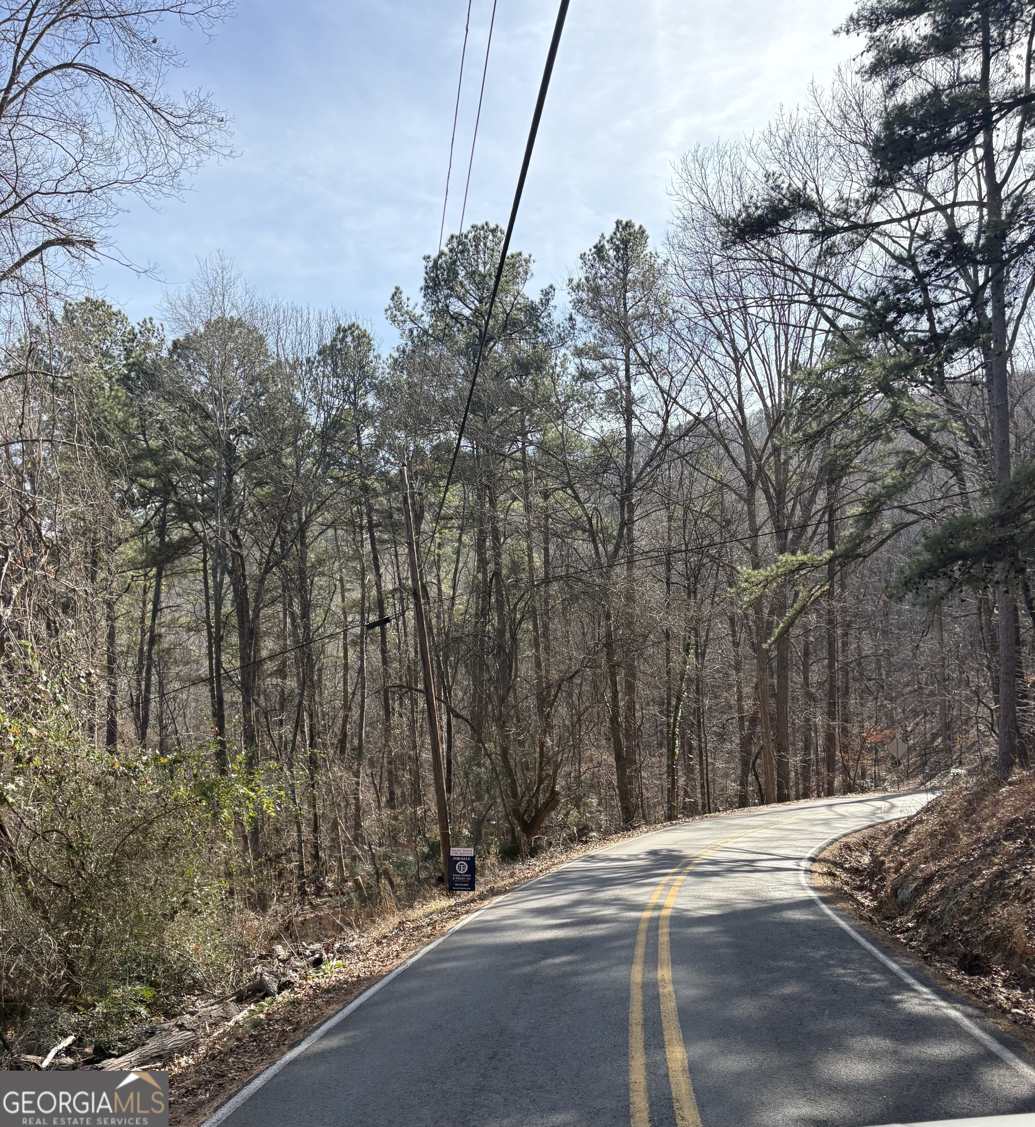 0 Radio Springs Road Rome, GA 30165 - Photo 8 of 10