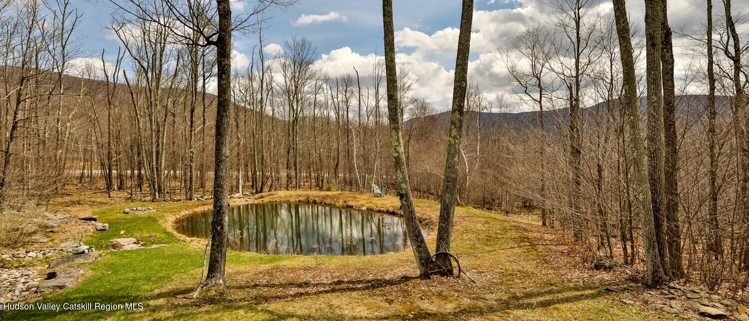 15 Hardwood Road West Kill, NY 12492 - Photo 23 of 53 a view of backyard of house