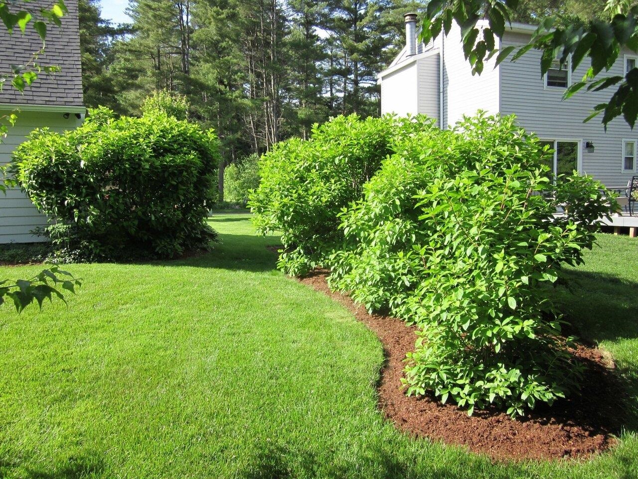 23 Greenfield Rd Extension Essex, VT 05452 - Photo 36 of 40 Gallery Image 36