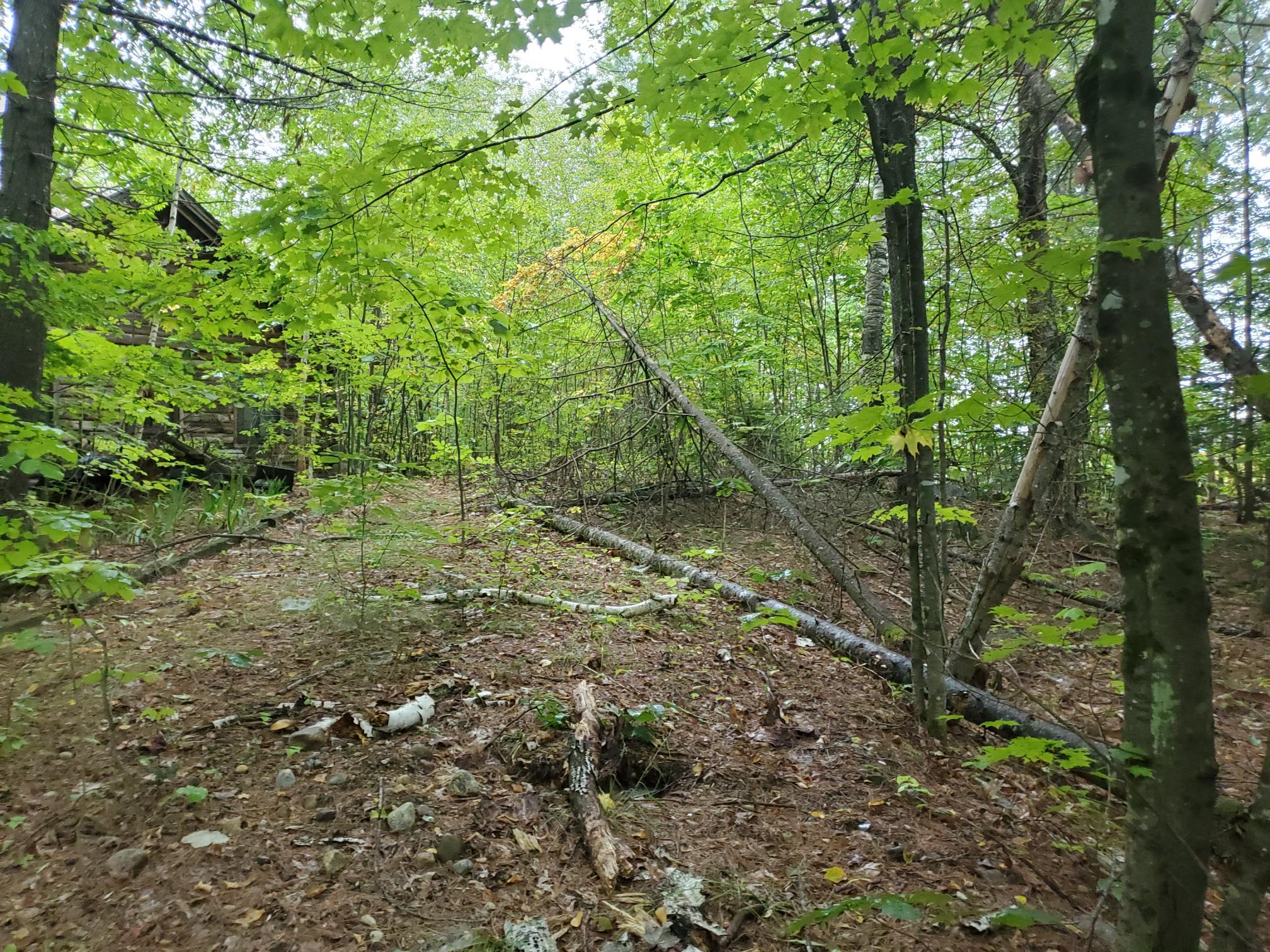 274 Damon Road Sumner, ME 04292 - Photo 16 of 23 20210922_090018