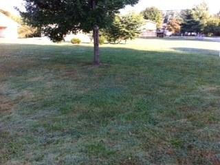115 Wells Road Richmond, KY 40475 - Photo 1 of 2 Photo 1