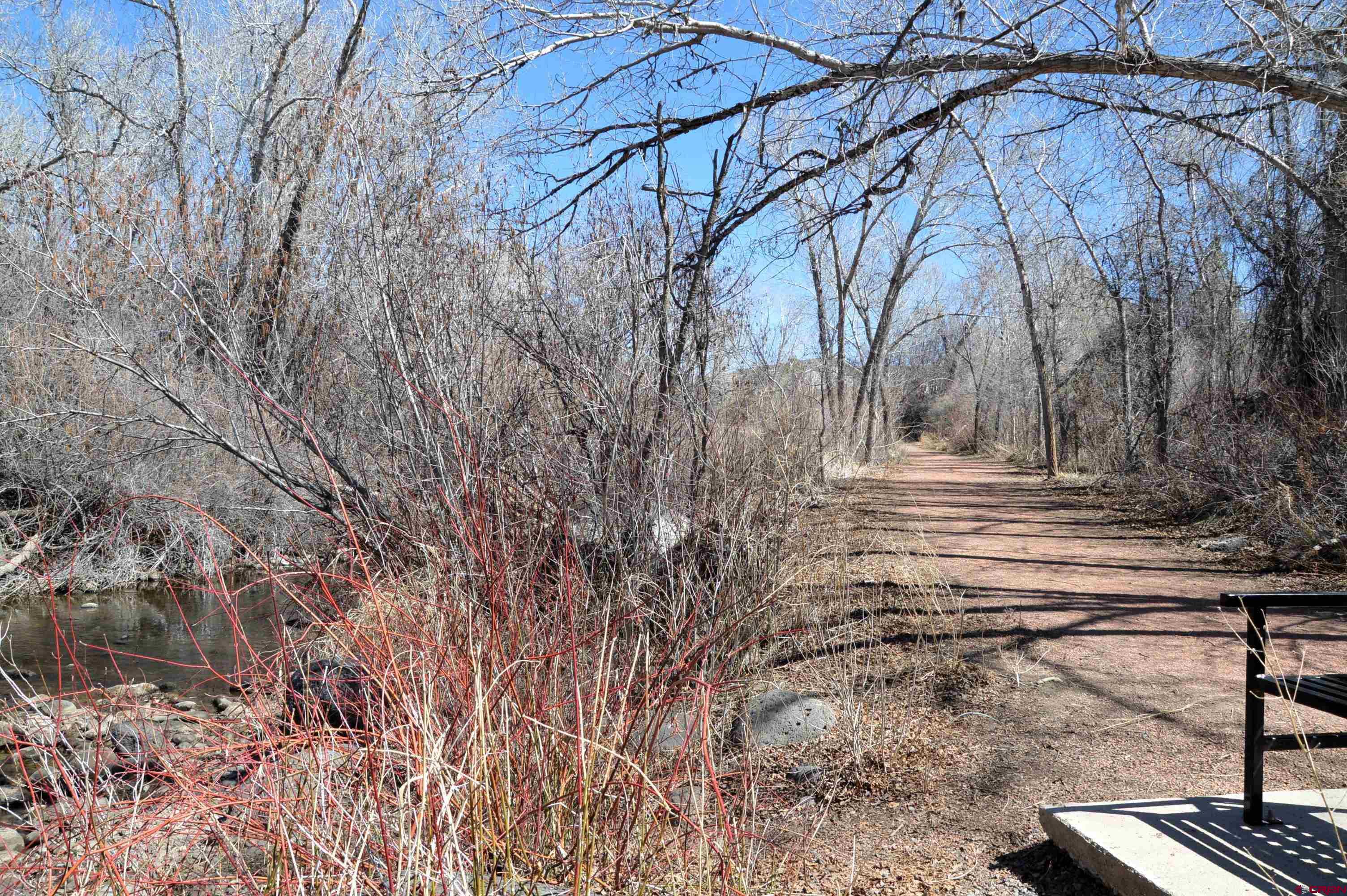 Tbd Southeast Tbd Se 3rd Street Cedaredge, CO 81413 - Photo 12 of 12 a view of backyard with green space
