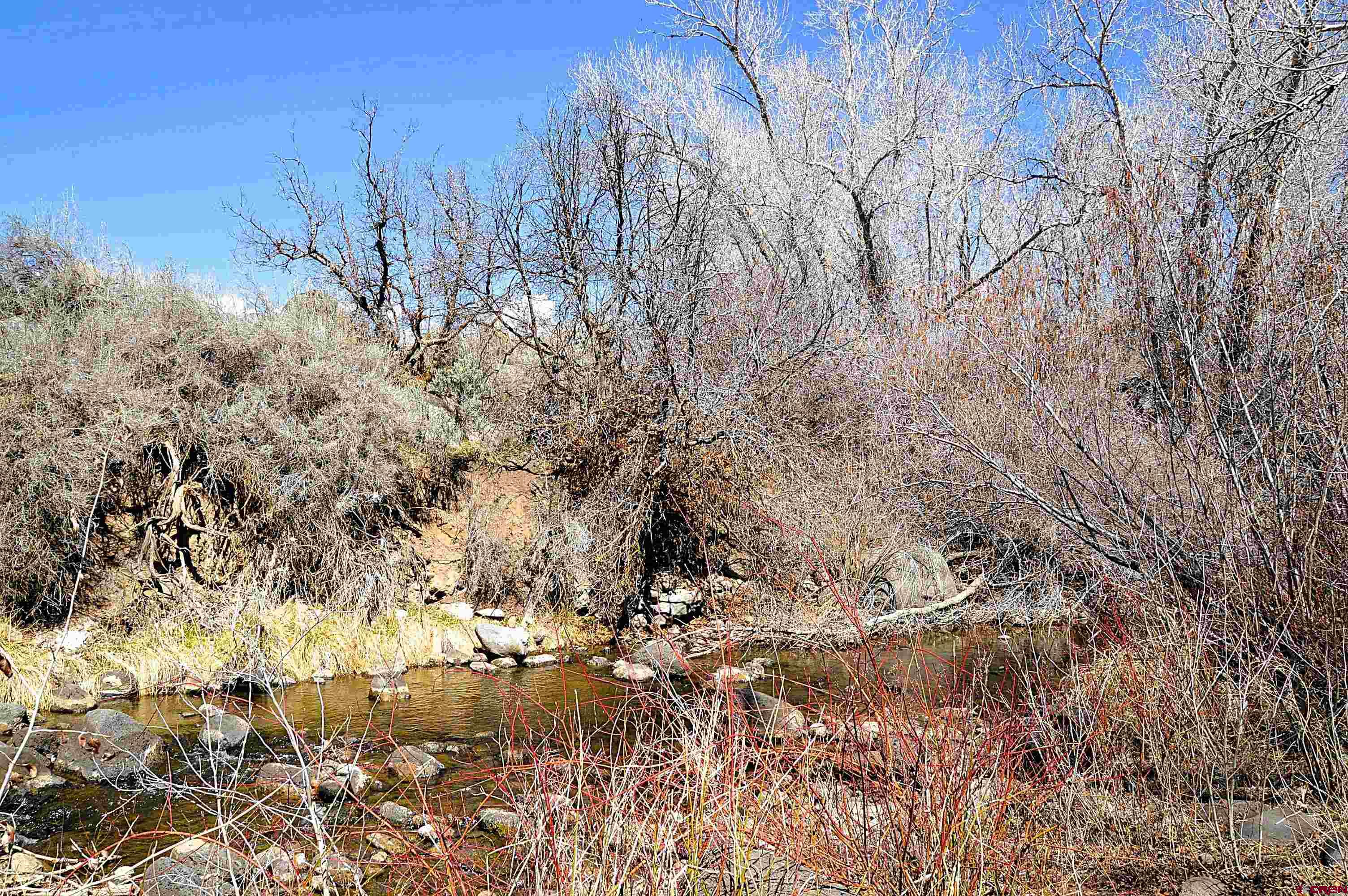 Tbd Southeast Tbd Se 3rd Street Cedaredge, CO 81413 - Photo 2 of 12 a view of a yard